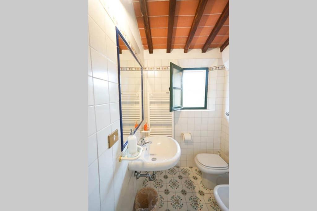 Villa Capannina Vico d'Arbia Dış mekan fotoğraf