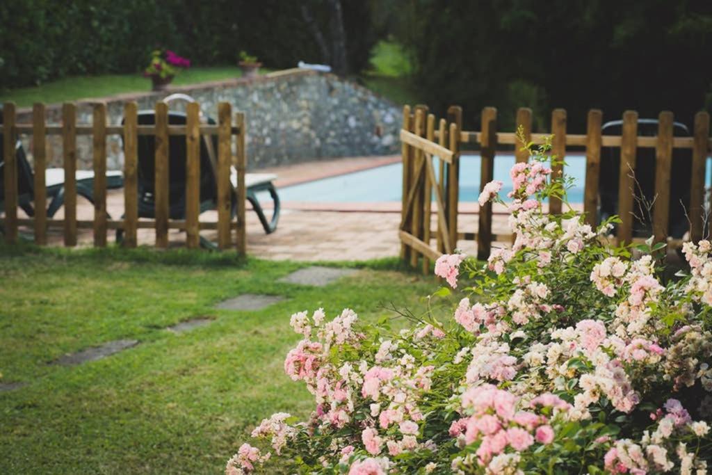 Villa Capannina Vico d'Arbia Dış mekan fotoğraf