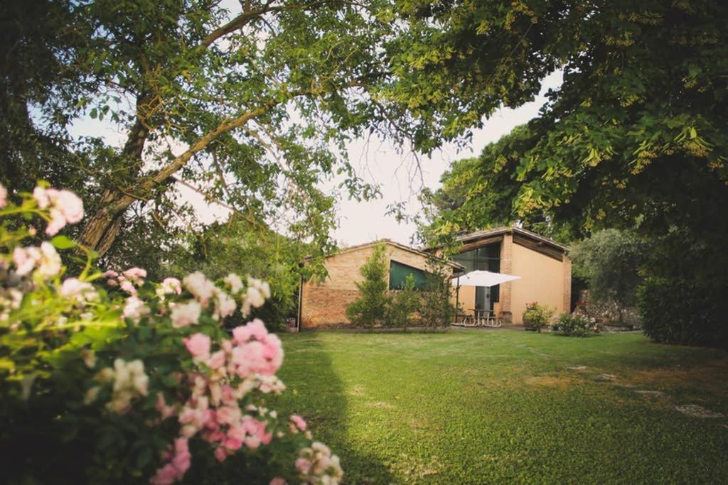 Villa Capannina Vico d'Arbia Dış mekan fotoğraf