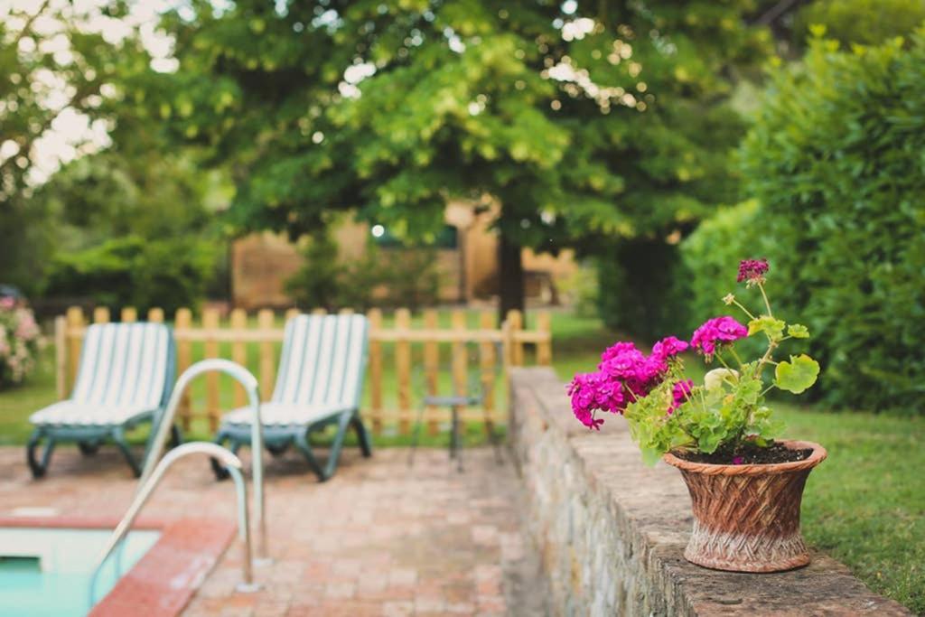 Villa Capannina Vico d'Arbia Dış mekan fotoğraf